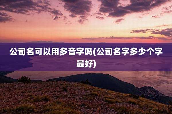 公司名可以用多音字吗(公司名字多少个字最好)