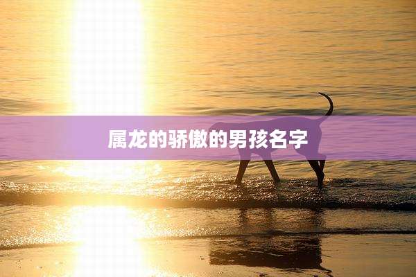 属龙的骄傲的男孩名字