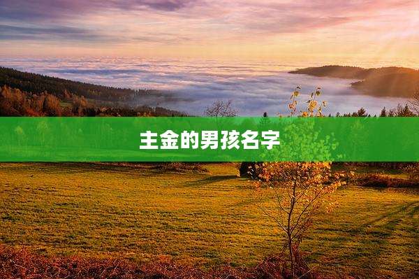 主金的男孩名字