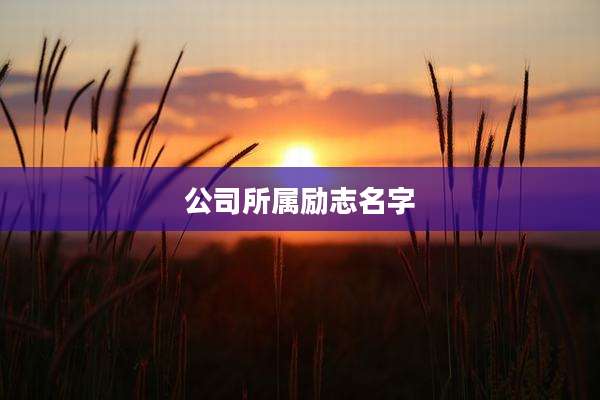 公司所属励志名字