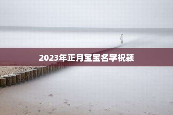 2023年正月宝宝名字祝颖