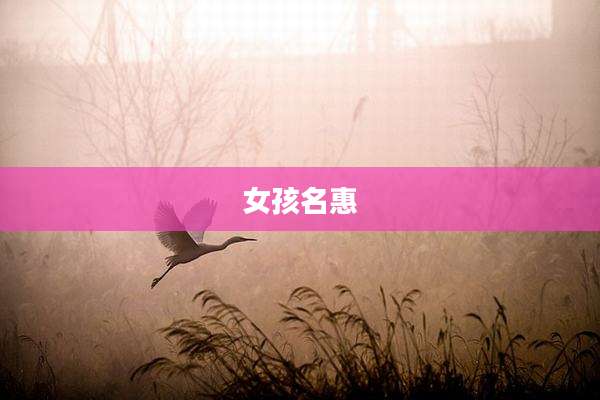 女孩名惠