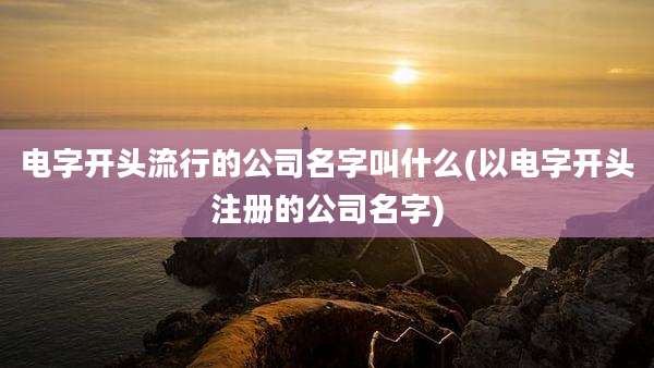 电字开头流行的公司名字叫什么(以电字开头注册的公司名字)
