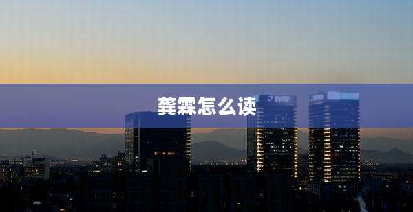 龚霖怎么读