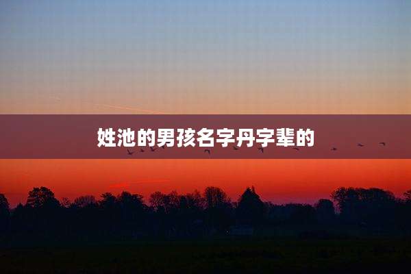 姓池的男孩名字丹字辈的