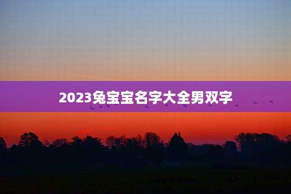2023兔宝宝名字大全男双字