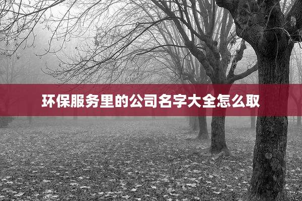 环保服务里的公司名字大全怎么取