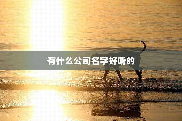 有什么公司名字好听的