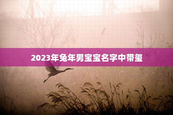 2023年兔年男宝宝名字中带玺