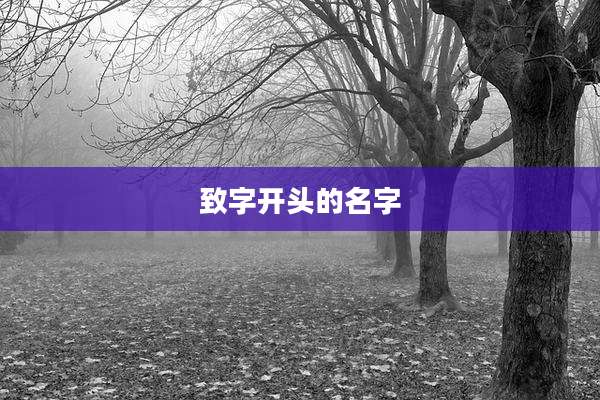致字开头的名字
