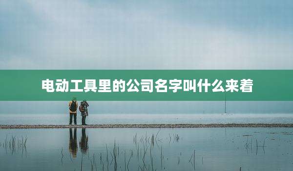 电动工具里的公司名字叫什么来着