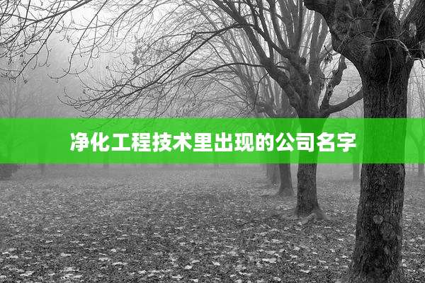 净化工程技术里出现的公司名字
