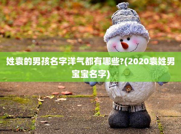 姓袁的男孩名字洋气都有哪些?(2020袁姓男宝宝名字)