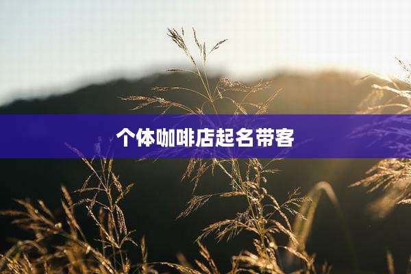 个体咖啡店起名带客
