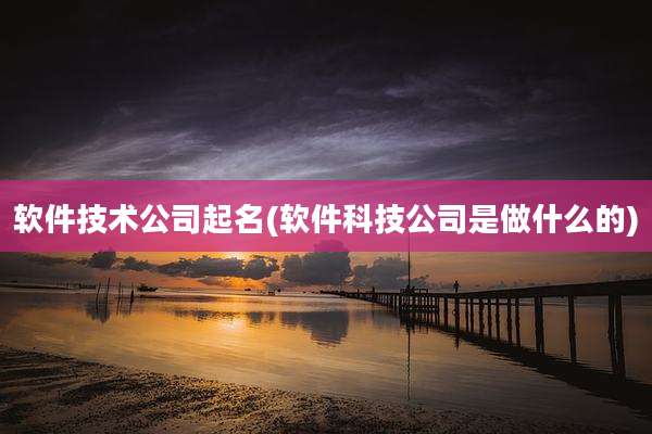 软件技术公司起名(软件科技公司是做什么的)