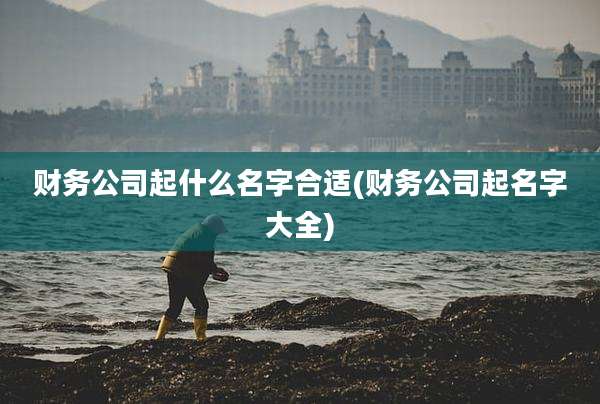 财务公司起什么名字合适(财务公司起名字大全)