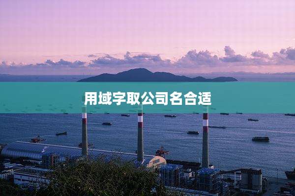 用域字取公司名合适