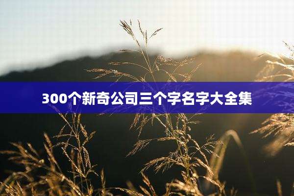 300个新奇公司三个字名字大全集