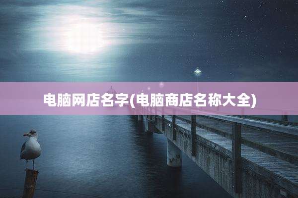 电脑网店名字(电脑商店名称大全)