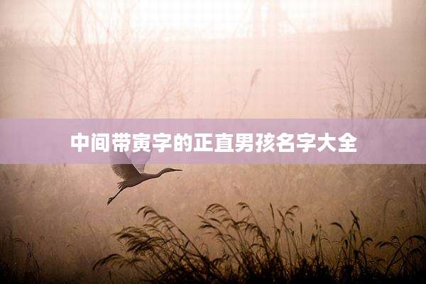 中间带寅字的正直男孩名字大全