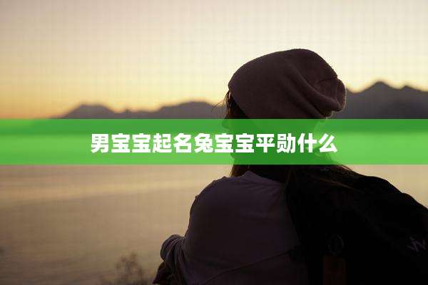 男宝宝起名兔宝宝平勋什么