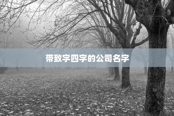 带致字四字的公司名字