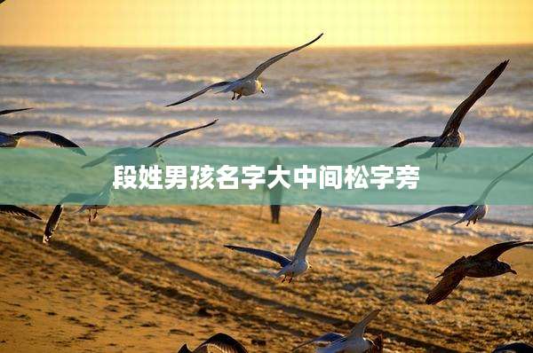 段姓男孩名字大中间松字旁