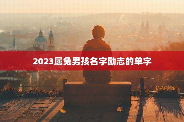 2023属兔男孩名字励志的单字