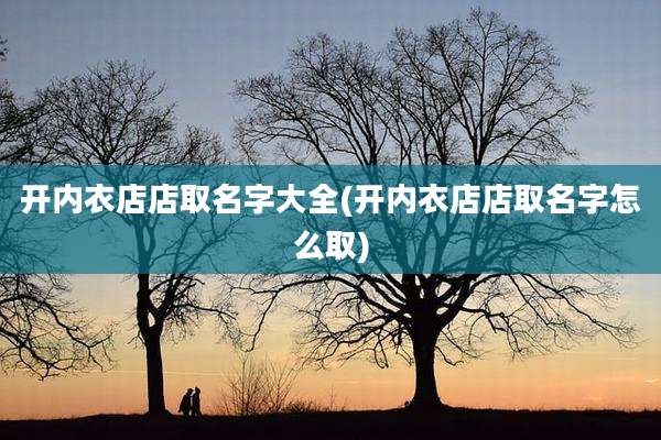 开内衣店店取名字大全(开内衣店店取名字怎么取)