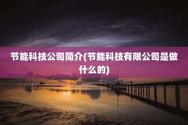 节能科技公司简介(节能科技有限公司是做什么的)