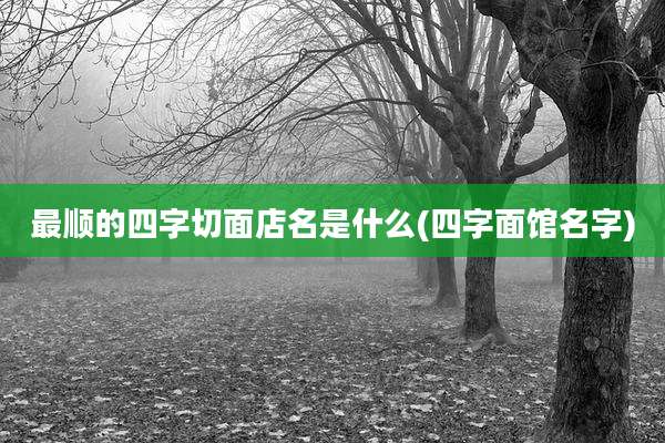 最顺的四字切面店名是什么(四字面馆名字)