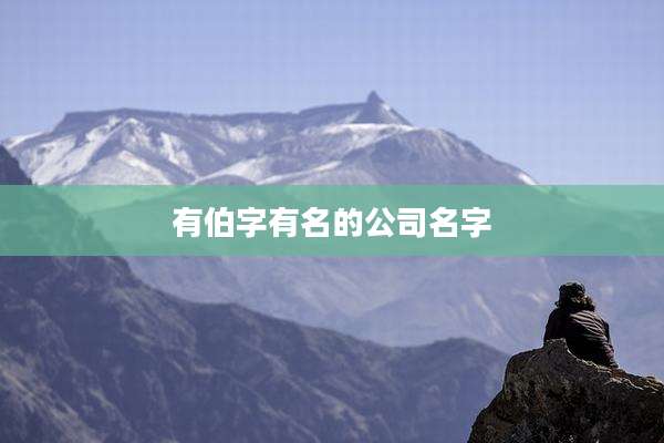 有伯字有名的公司名字