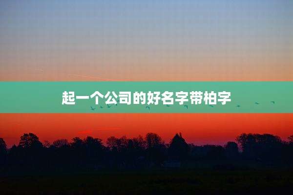 起一个公司的好名字带柏字