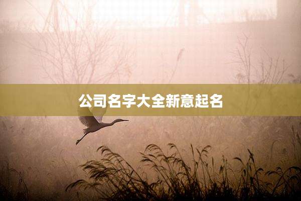 公司名字大全新意起名
