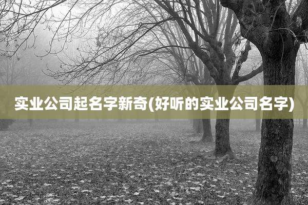 实业公司起名字新奇(好听的实业公司名字)