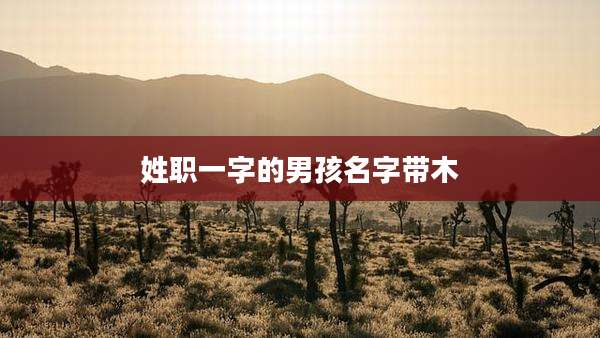 姓职一字的男孩名字带木