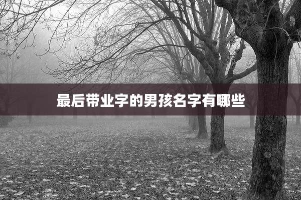 最后带业字的男孩名字有哪些