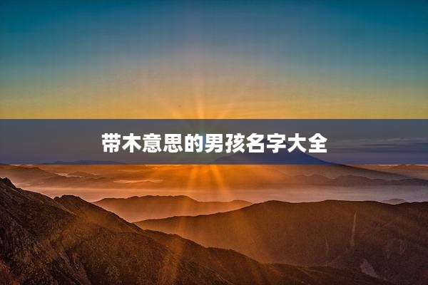 带木意思的男孩名字大全