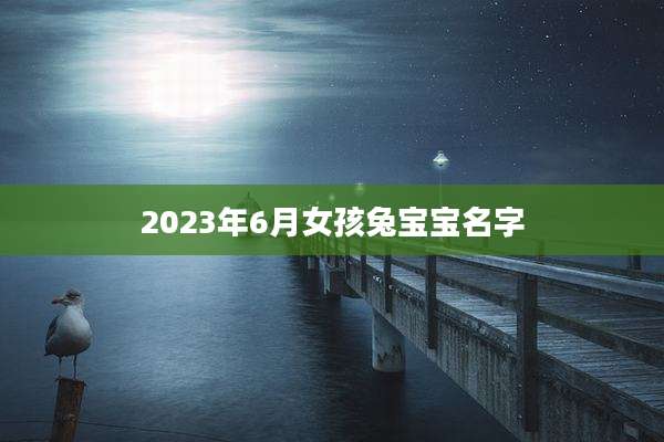 2023年6月女孩兔宝宝名字