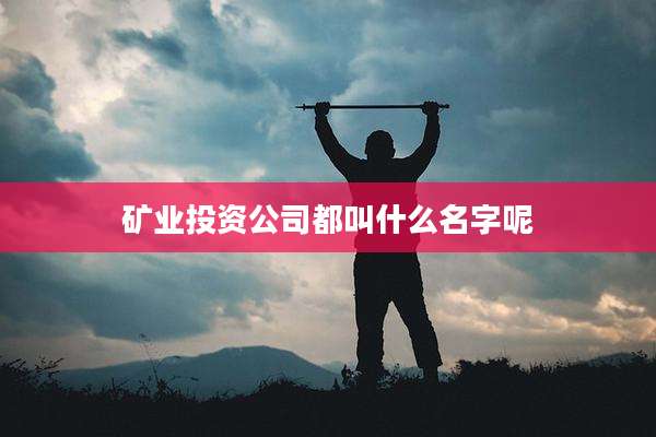 矿业投资公司都叫什么名字呢