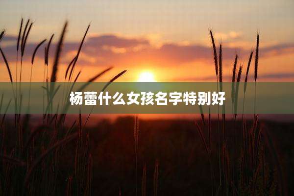杨蕾什么女孩名字特别好