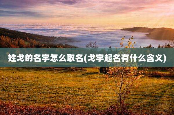 姓戈的名字怎么取名(戈字起名有什么含义)
