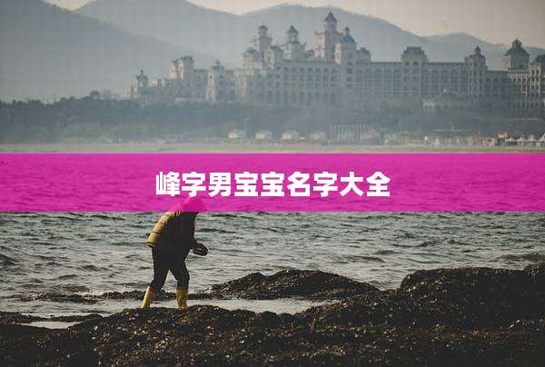 峰字男宝宝名字大全