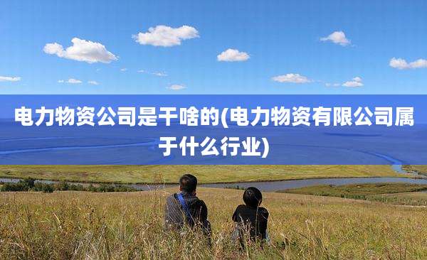 电力物资公司是干啥的(电力物资有限公司属于什么行业)