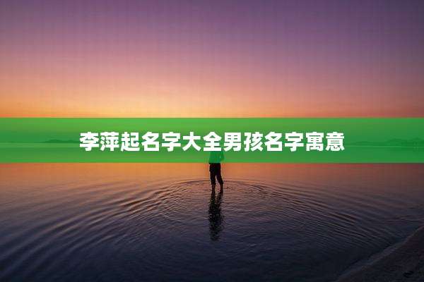 李萍起名字大全男孩名字寓意