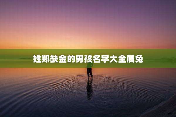 姓郑缺金的男孩名字大全属兔