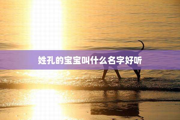 姓孔的宝宝叫什么名字好听