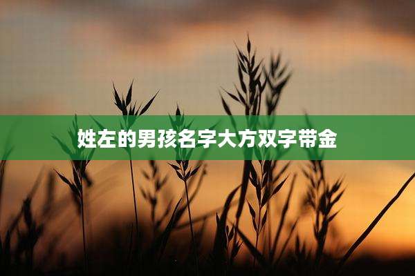 姓左的男孩名字大方双字带金