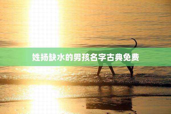 姓扬缺水的男孩名字古典免费