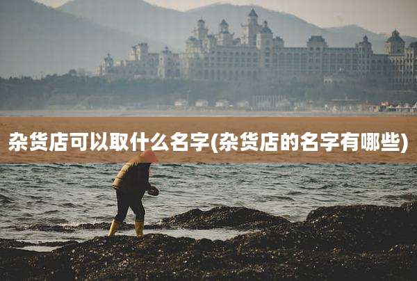 杂货店可以取什么名字(杂货店的名字有哪些)